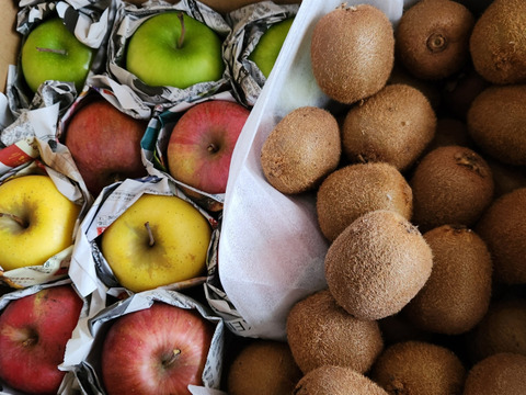 ちっちゃいキウイふる～つ　家庭用 2K箱（28個程度【品種ヘイワード】）