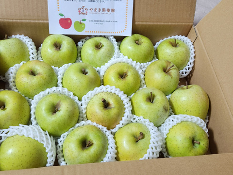 芳醇な香り『王林』22〜23個入り