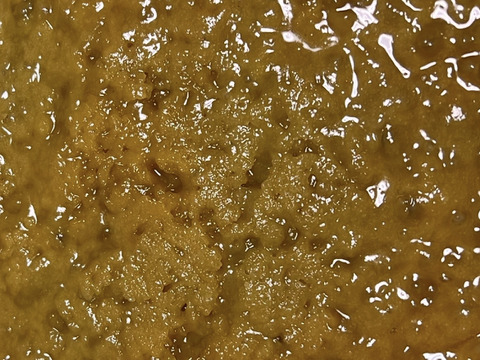 【福袋】野生日本蜜蜂の発酵蜜　生はちみつ110g 1瓶