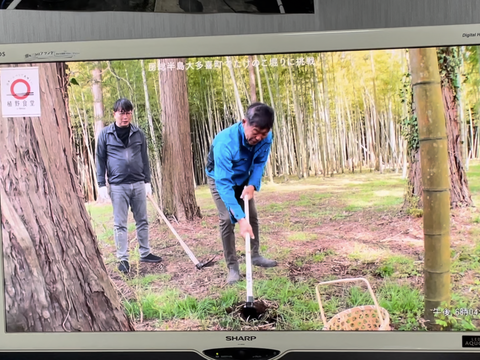 ❤アク抜き不要❤BSフジ植野食堂でご紹介いただきました❤大多喜町特産品（千葉県）たけのこ(4kg)❤肥料も与えておらず柔らかく口に繊維の感覚が残りません　春の味覚！