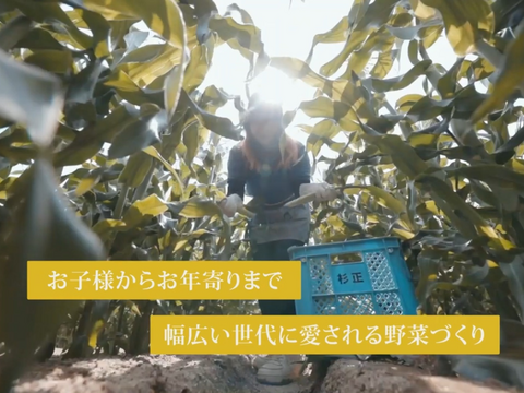 あなたはどっち派⁉️プレミアム味来vsドルチェドリーム楽しい食べ比べセット 6本入