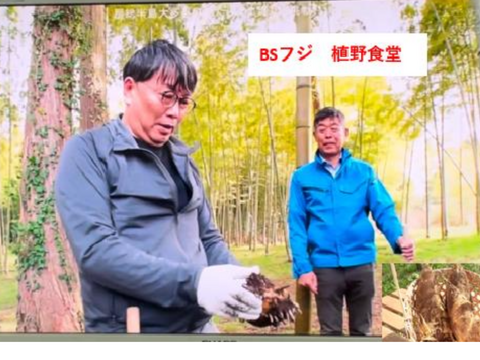 ❤アク抜き不要❤BSフジ植野食堂でご紹介いただきました❤大多喜町特産品（千葉県）たけのこ(4kg)❤肥料も与えておらず柔らかく口に繊維の感覚が残りません　春の味覚！