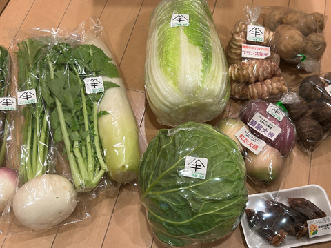 もう少し多めに食べたい方へ　２５００円お勧め旬野菜セット
田口農園徳島「イチオシ旬野菜セット」
農家人が選ぶ旬野菜のおまかせセットです。季節ごとの旬の世界農業遺産ブランド野菜を厳選してお届け致します。