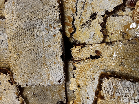 【福袋2025】8周年記念🎉野生日本蜜蜂の生はちみつ50g×5個 入り3種セット【10,840円相当】を今だけ数量限定！8,888円！発酵蜜×2個・花粉蜜×1個・たれ蜜×2個。感謝の気持ちを込めて♡