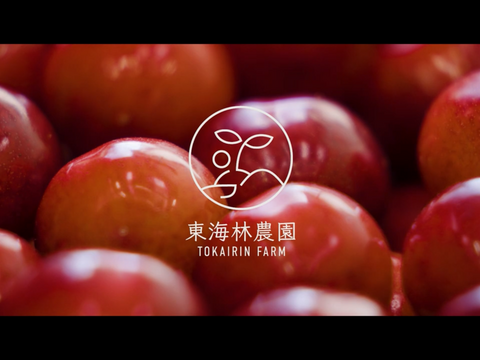 紅秀峰】家庭用グラデーションセット 🍒1キロ🍒【双子ちゃんが