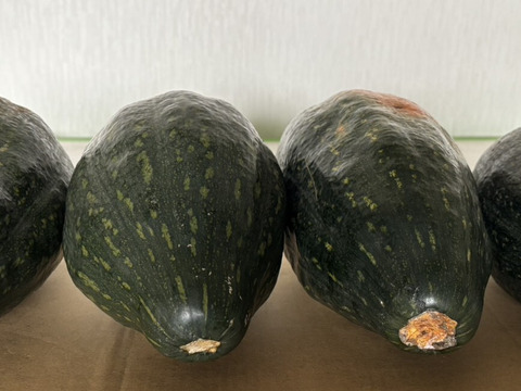 【サラダカボチャ】訳あり　有機かぼちゃ　万次郎生まるごと　４個入（約8.4kg）
