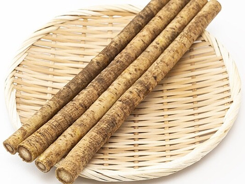 秋田のゴボウ1000g（予約販売）世界遺産白神山地のそば