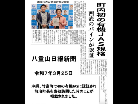 転換期間中 JASオーガニック！プレミアム完熟ゴールドバレル２ｋｇ(１～３個)　沖縄パイナップルの王様！『沖縄県西表島パイナップル』