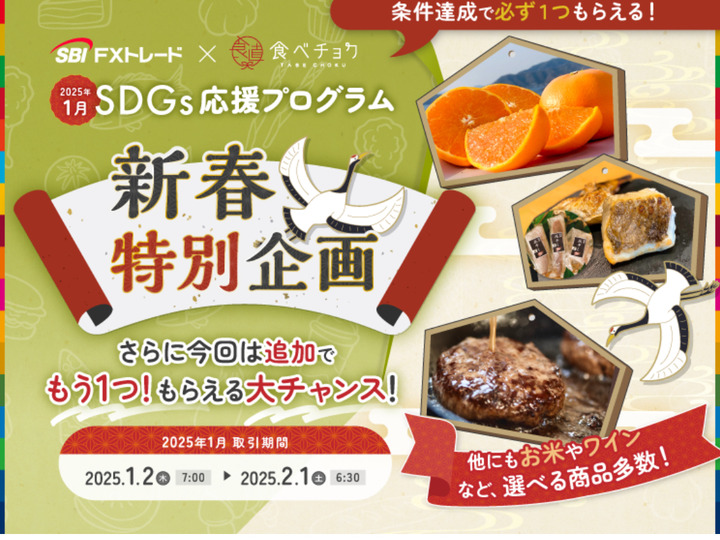 令和六年産新米栃木県産美味しいコシヒカリ遠藤さんのお米5k