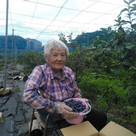 尾島農園