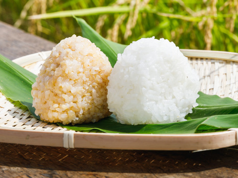 【食べ比べ】令和4年産　JAS有機栽培(転換期間中）ミルキークイーン白米＆玄米各2kg1袋