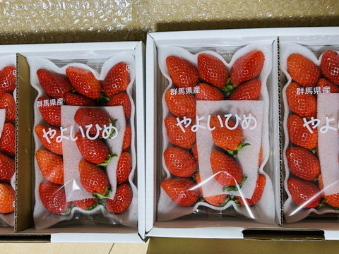 🎶ちょっぴり小粒🎶やよいひめ『群馬いちご』320g×4トレー