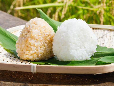 【令和7年新米】特別栽培米つや姫精白米&玄米各5kg