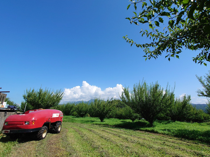 誠実に安心安全を