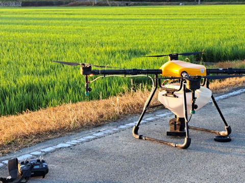 令和6年度産　新米予約10月中旬発送　減農栽培食べ比べ（へアリーベッジ米）　※精米