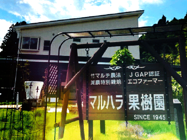 生産者のこだわり