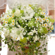 sonnenblume88