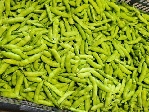 旬の上州野菜 夏！】お試しサイズ（3~5品目）梱包まで丁寧に