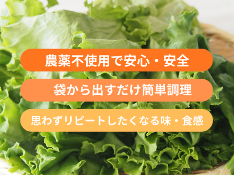 父の日ギフト】【大容量】贈答用にも！洗わずに食べられるレタス食べ