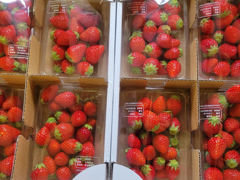 【不定期】ケーキやデザートに！小粒イチゴ8パック（250×4パック＝1箱)