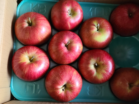 『シナノスイート』ご家庭用秀品約2kg　スマートフレッシュで収穫時の鮮度そのままサックサク！甘くてジューシー！