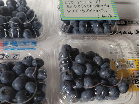 ☆令和7年 生ブルーベリー☆農薬不使用 にゃんちゅう 摘みたて 農薬不使用 千葉県産 生ブルーベリー 100g×4パック お