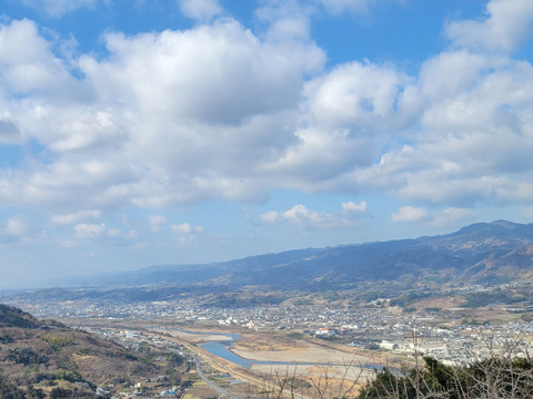 ☆彡秋の大豊作祭☆彡　和歌山県産　　富有柿　極甘(秀品)5kg　2Lサイズ