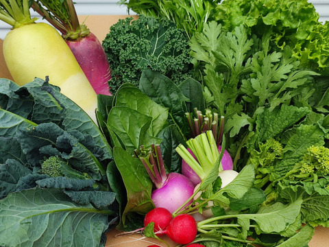 【アワード受賞福袋】旬野菜おまかせＬセット(12品目) 期間限定！！