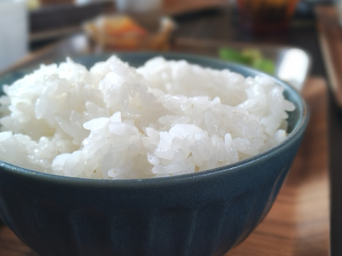 令和６年産ななつぼしのご紹介です。
決してゆめぴりかと比べないでくださいね💦
決して😄
【精米　25kg】