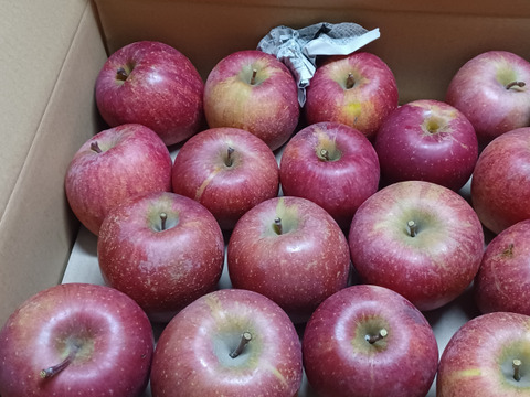 果汁溢れる！ サンふじ【わけあり家庭用 5kg 】