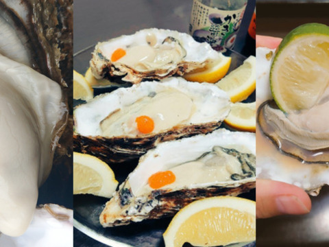 【10％OFF設定中】生食用２ｋｇ 殻付き 牡蠣 （14~30粒）牡蠣 殻付き牡蠣 殻付き牡蛎 牡蛎 kaki かき カキ 松島牡蠣屋 BBQに貝類 海産物 オイスターoyster