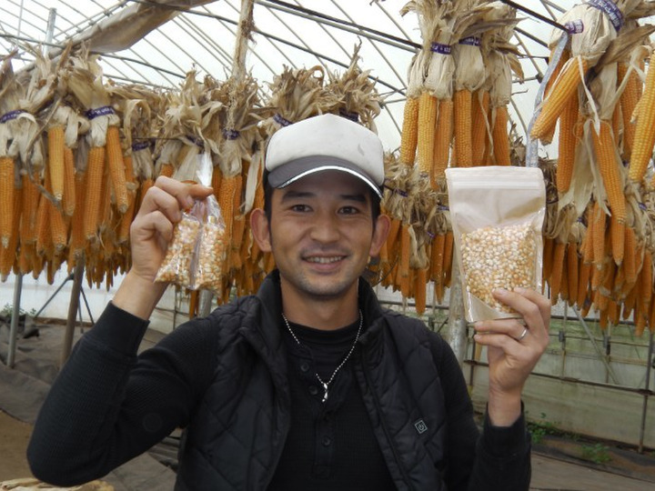 旬の野菜を育てる