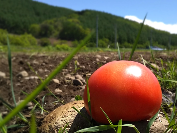 生産者のこだわり