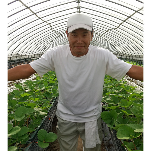 Strawberry farm 木村農園