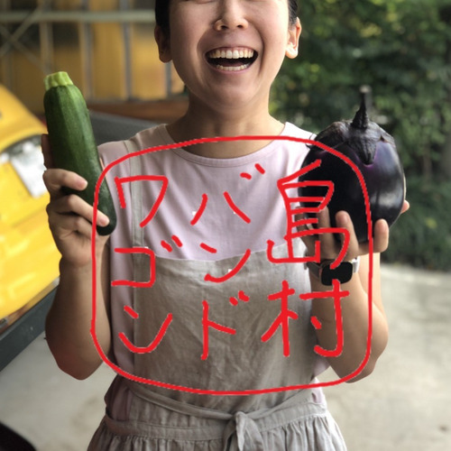 島村バンドワゴン