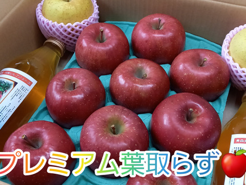 数量限定🍎プレミアム葉取らずサンふじ&りんごジュース+おまけ🍎藤崎町産