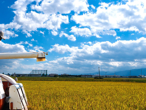 遅れてごめんね【父の日ギフト】こだわりのお米と飲む点滴詰め合わせ【有機JAS取得】風さやか白米1,5㎏ &【無添加】米麹甘酒500㎖ 1本