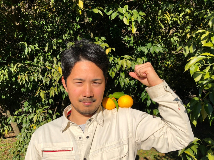 見事な 濃厚な香りと果汁！山梨県産ゆず：山梨県産のみかん・柑橘類 果物