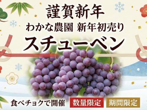 【お得な大容量】たっぷり5kg！贅沢スチューベン（秀品）