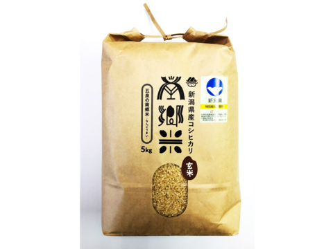 ＊特別栽培米【R5年産】''隠れたお米の名産地''新潟県五泉産コシヒカリ100%「南郷米」玄米5kg