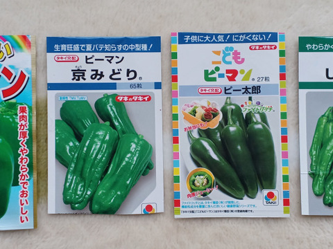 【お試し】北海道産　旬の夏野菜セット1.2Kg(4～5品目)