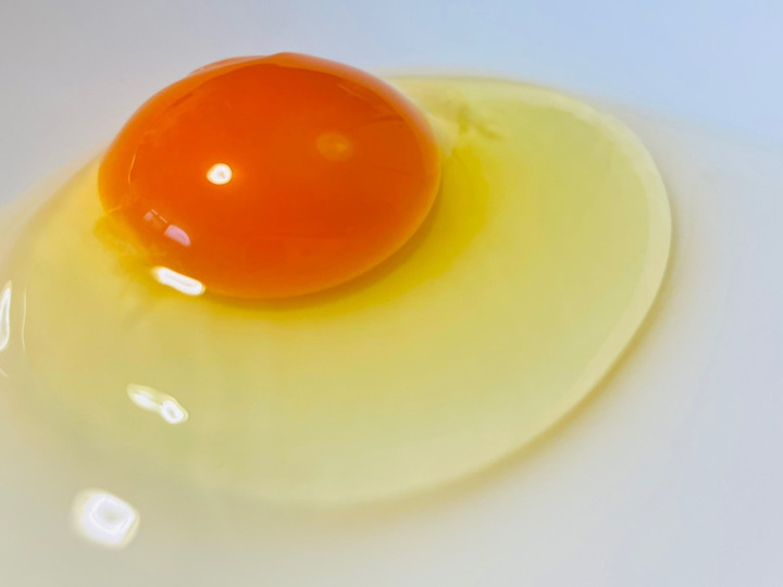地鶏の王様 名古屋コーチン