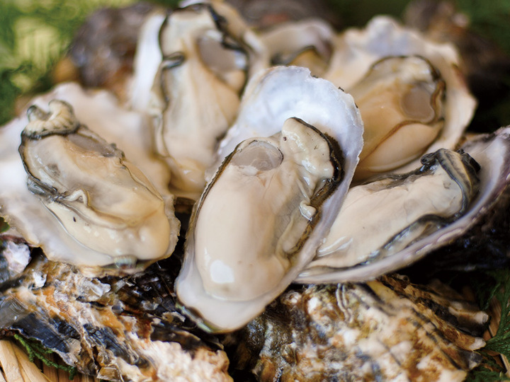 浜中水産の紹介 兵庫県 食べチョク 農家 漁師の産直ネット通販 旬の食材を生産者直送