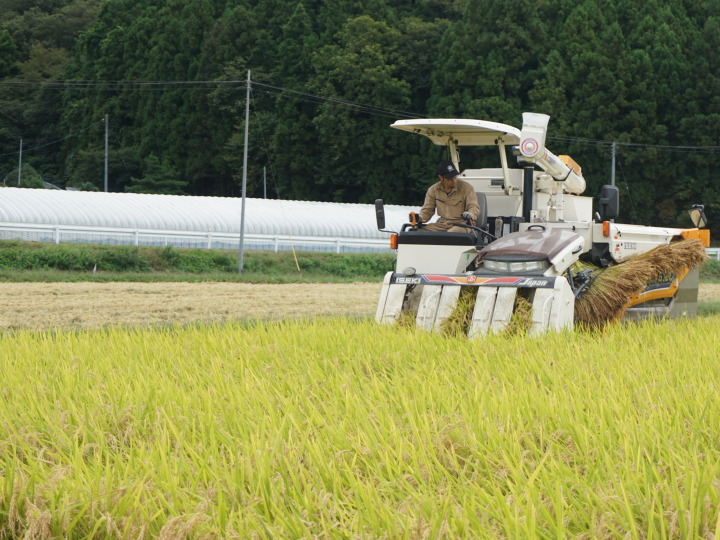 生産者のこだわり