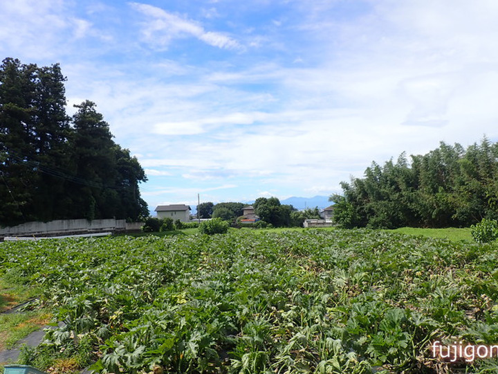 農園について