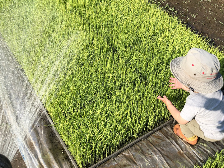 生産者のこだわり