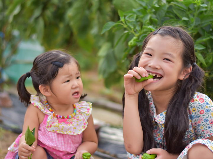 畑でもそのまま食べられる、子供から大人まで笑顔になれる野菜作り