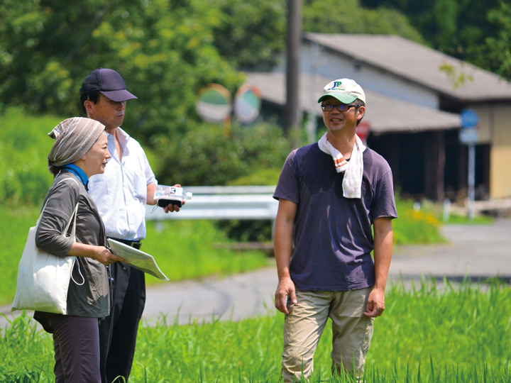 新米!令和6年産!際立つ粒揃い熊本県産にこまる10kg(5kg×2 新米!令和6年産!際立つ粒揃い熊本県産にこまる10kg(5kg×2