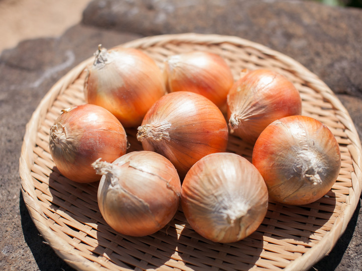 秋のしあわせ：さつまいも「紅はるか（15㎏）」 農薬化学肥料不