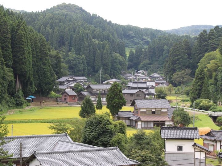 生産者のこだわり